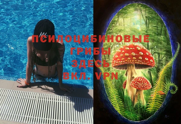 герыч Арсеньев