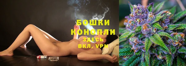 ПСИЛОЦИБИНОВЫЕ ГРИБЫ Покачи